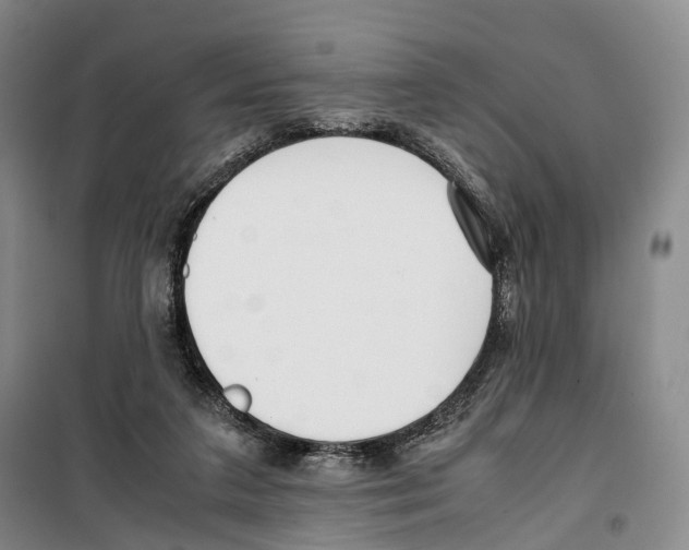 X0000099400211200806051215