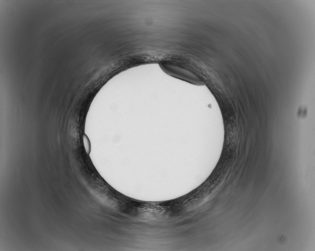 X0000099400215200806051215