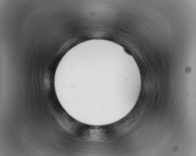 X0000099400216200806051215
