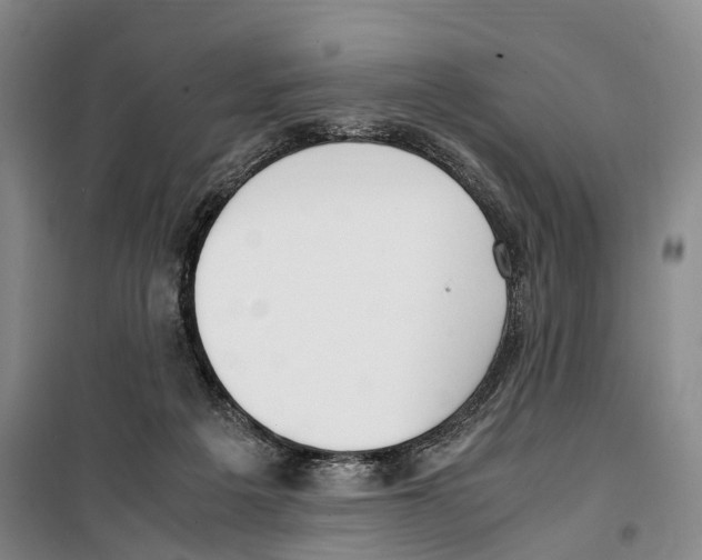 X0000099400217200806051215