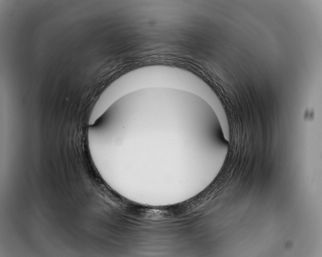 X0000099400222200806051215