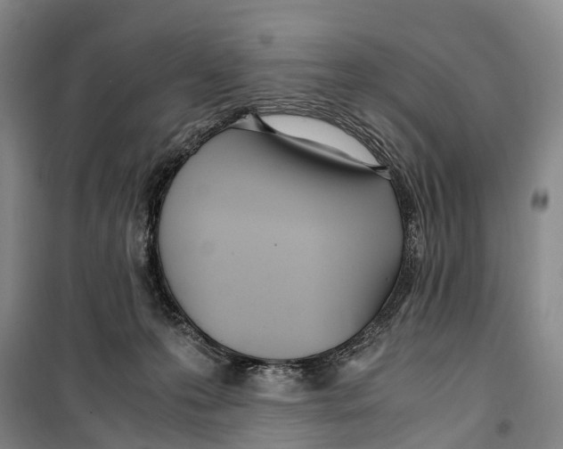 X0000099400223200806051215
