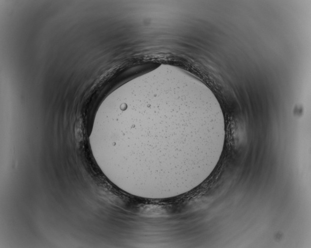 X0000099400224200806051215
