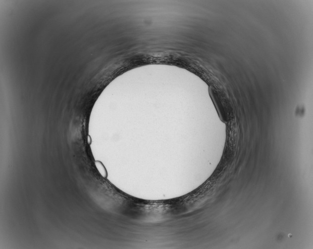 X0000099400225200806051215