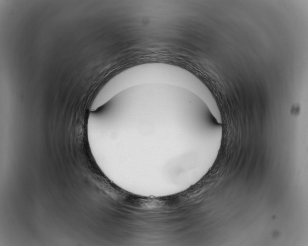 X0000099400226200806051215