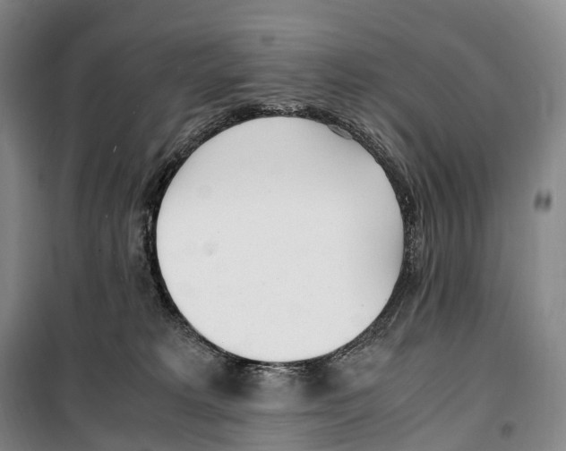 X0000099400229200806051215