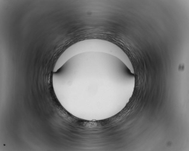 X0000099400230200806051215