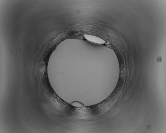 X0000099400231200806051215
