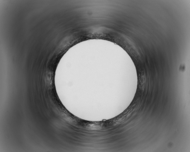 X0000099400232200806051215