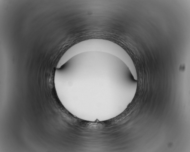 X0000099400234200806051215