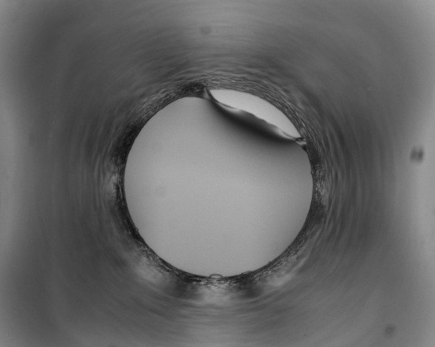 X0000099400235200806051215