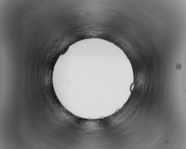 X0000099400236200806051215