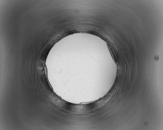 X0000099400237200806051215