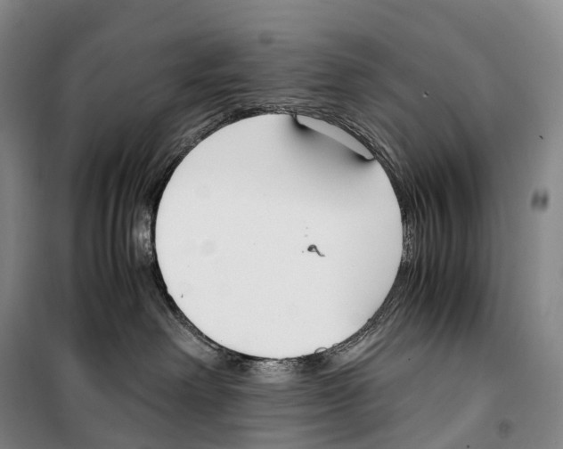 X0000099400238200806051215