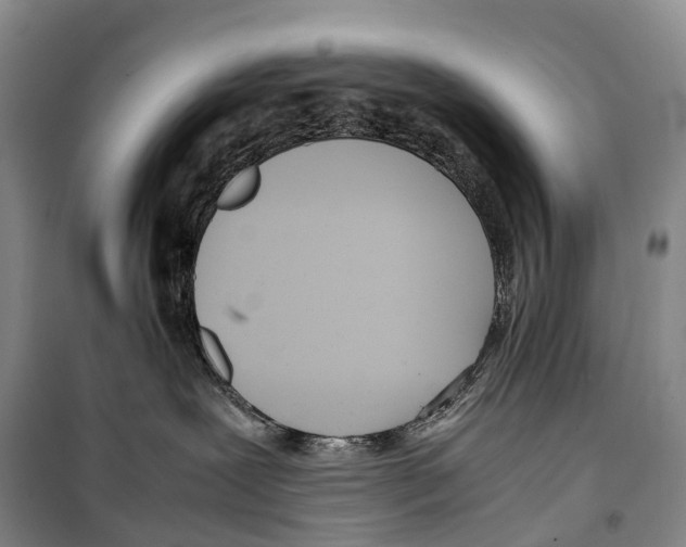 X0000099400239200806051215