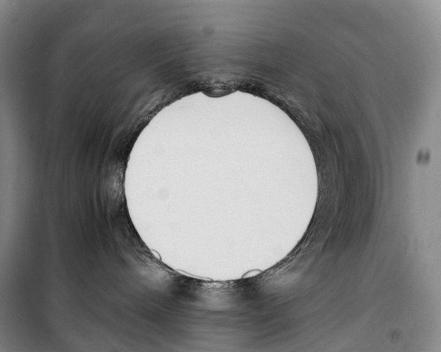 X0000099400240200806051215