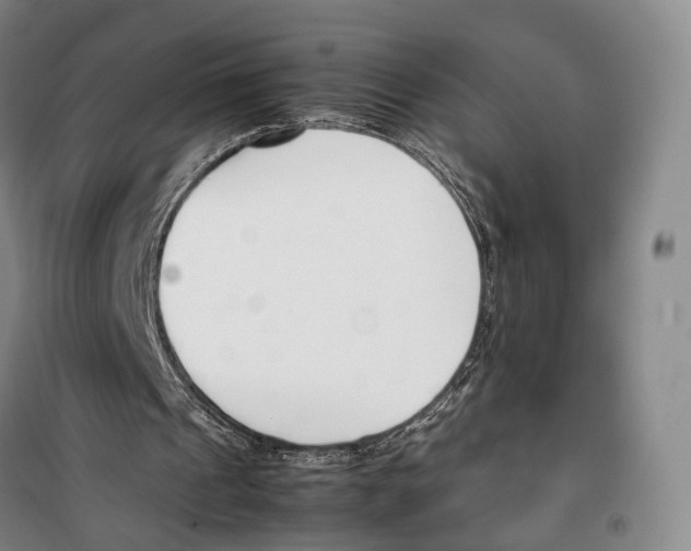 X0000099400241200806051214