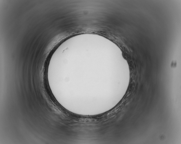 X0000099400242200806051214