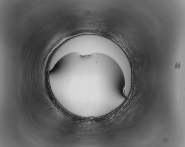 X0000099400243200806051214