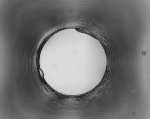 X0000099400244200806051214