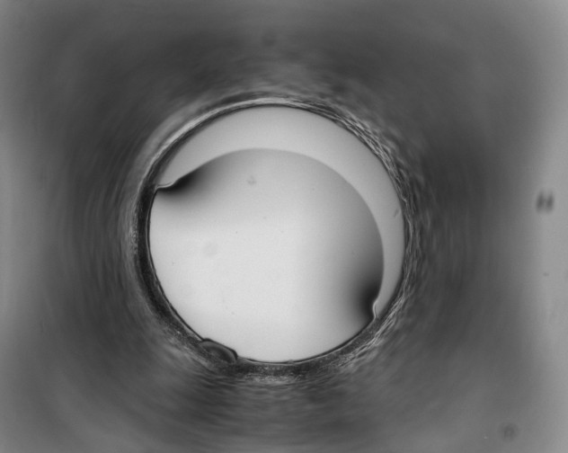 X0000099400247200806051214