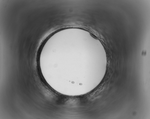 X0000099400248200806051214