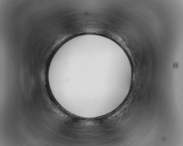 X0000099400249200806051214