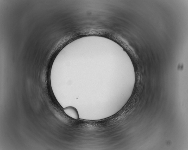 X0000099400250200806051214