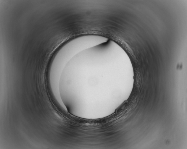 X0000099400251200806051214