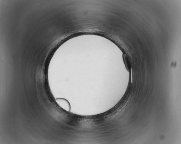 X0000099400252200806051214