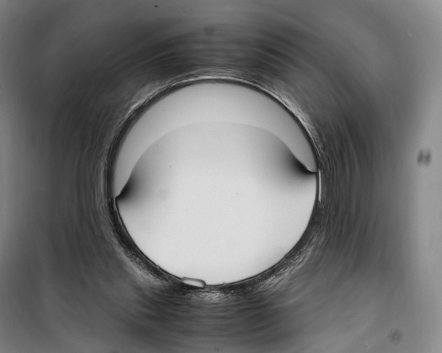 X0000099400253200806051214