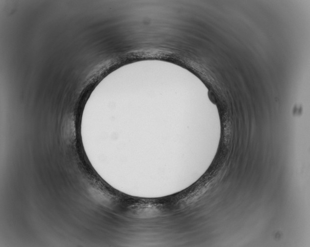 X0000099400254200806051214