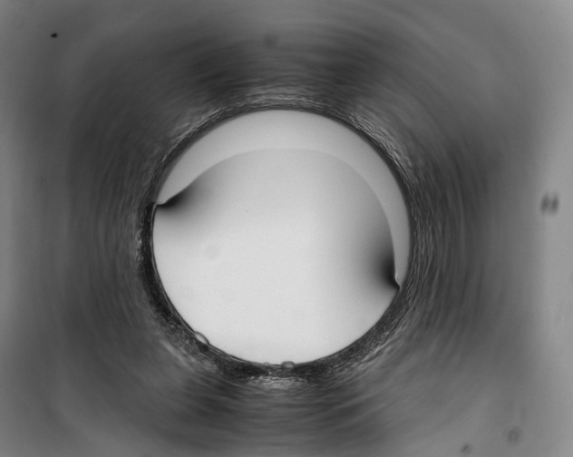 X0000099400255200806051214