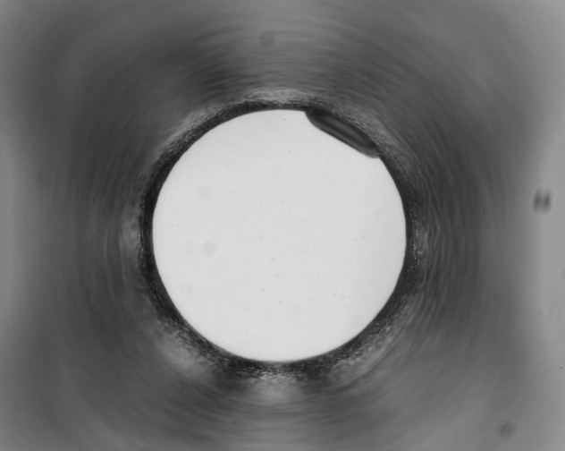 X0000099400256200806051214