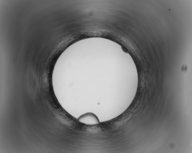 X0000099400258200806051214