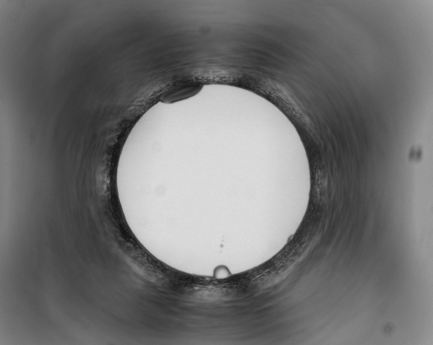 X0000099400259200806051214