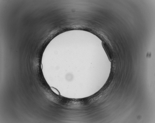 X0000099400260200806051214