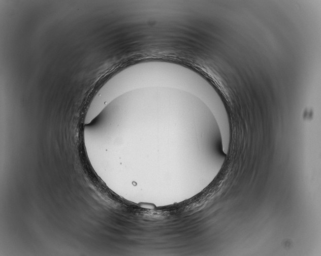 X0000099400261200806051214