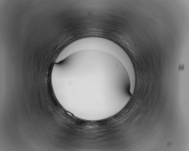 X0000099400263200806051214