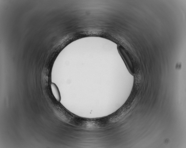 X0000099400264200806051214