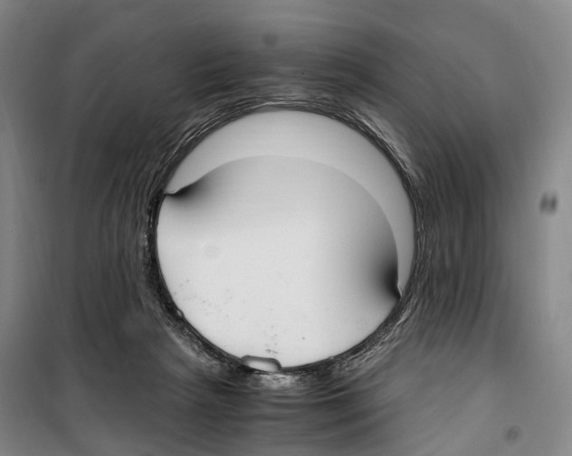 X0000099400265200806051214
