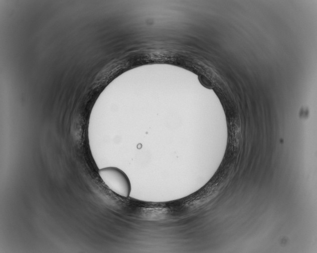 X0000099400266200806051214