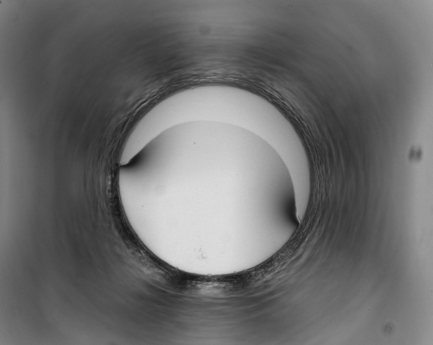 X0000099400268200806051214
