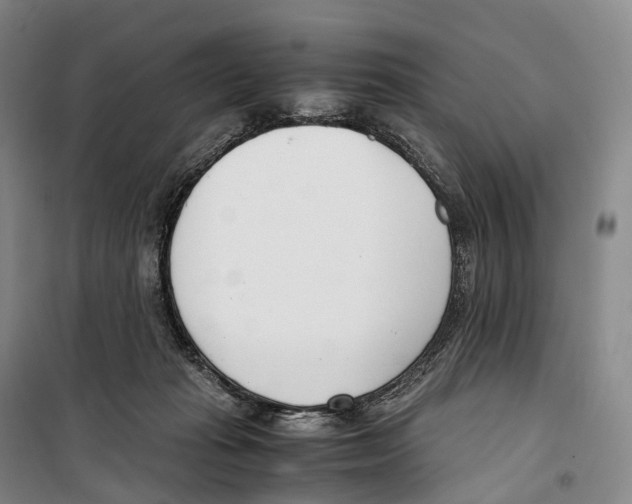X0000099400269200806051214