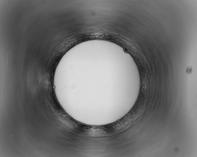 X0000099400270200806051214