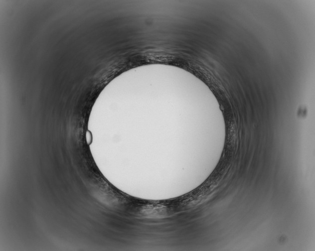 X0000099400271200806051214