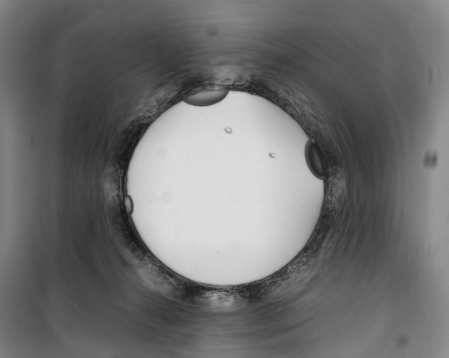 X0000099400272200806051214