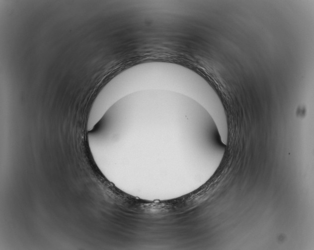 X0000099400273200806051214