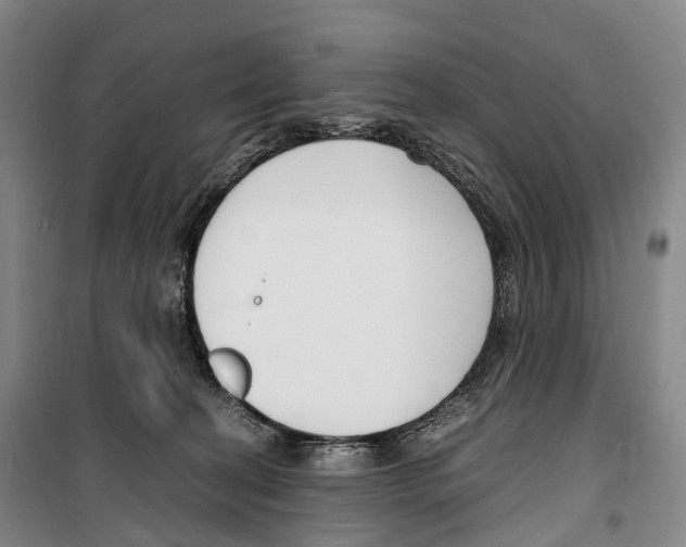 X0000099400274200806051214