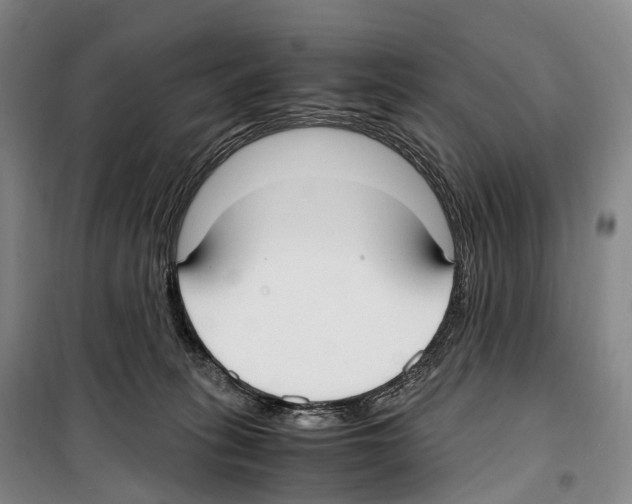 X0000099400275200806051214
